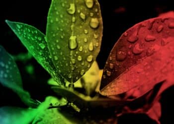 8 Best AI Photo Editor Tools In 2024