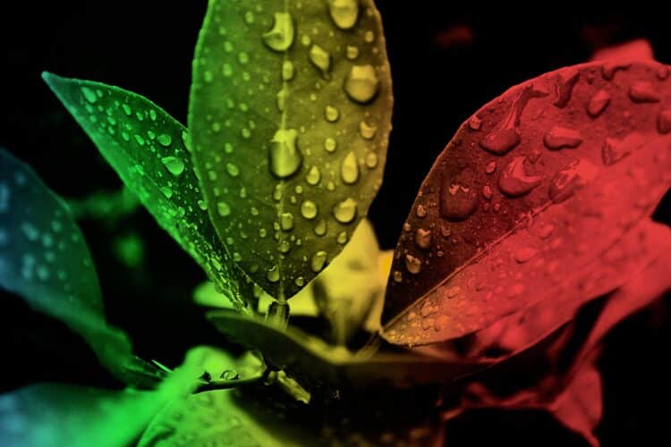 8 Best AI Photo Editor Tools In 2024